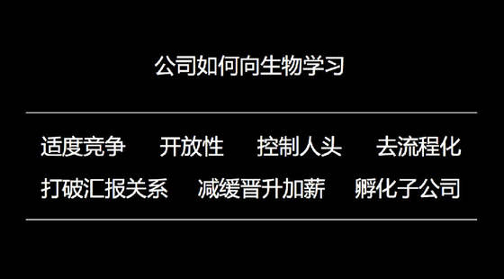 王小川談企業(yè)成長：從蝴蝶效應(yīng)到六爻八卦